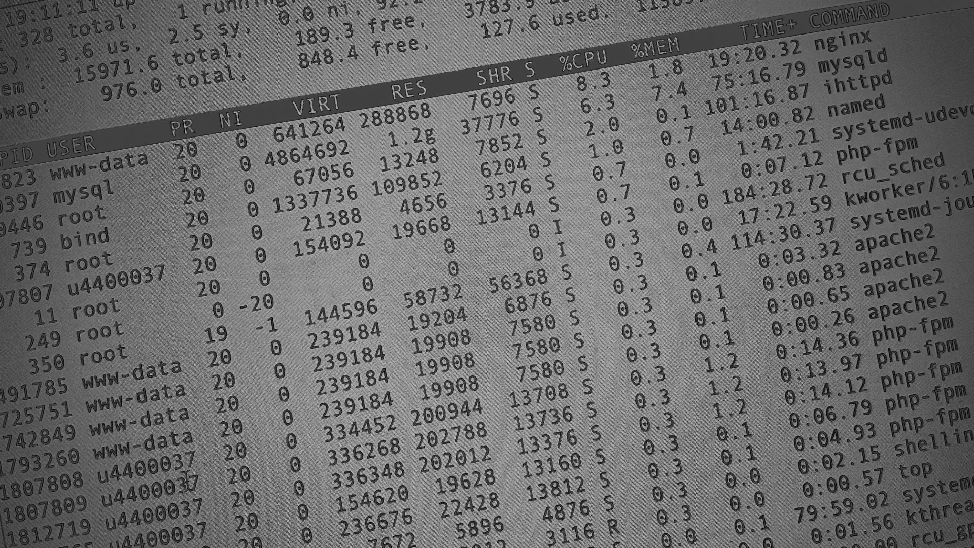 Настройка сервера в Рубцовске