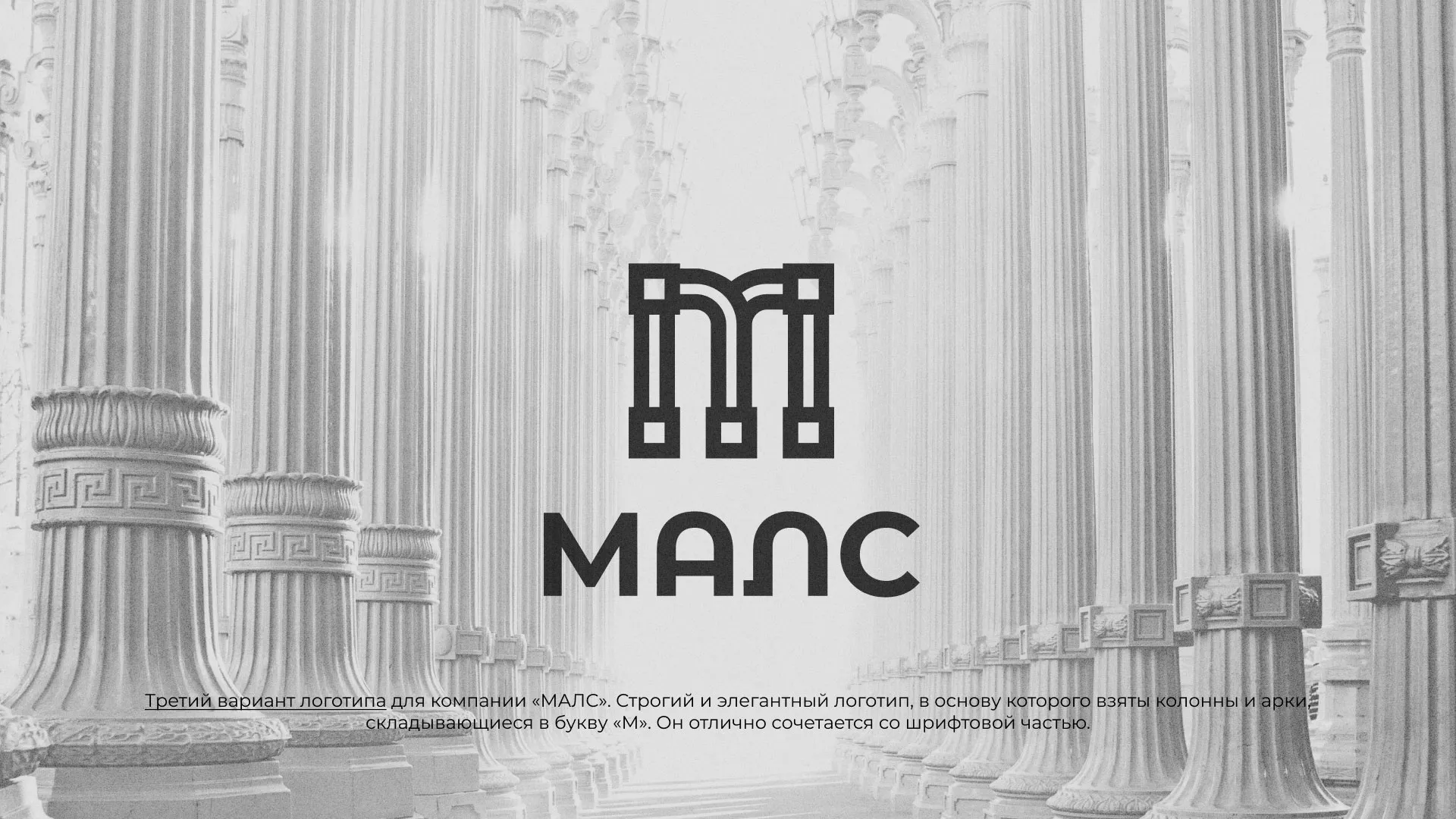 Разработка логотипа компании «МАЛС» в Рубцовске